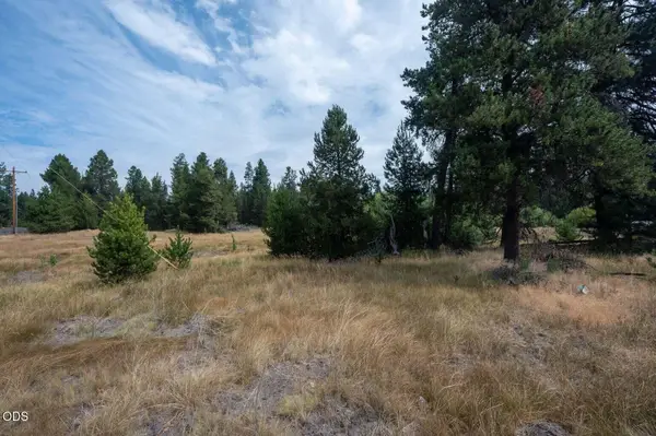 51596 Dorrance Meadow Road, La Pine, OR 97739