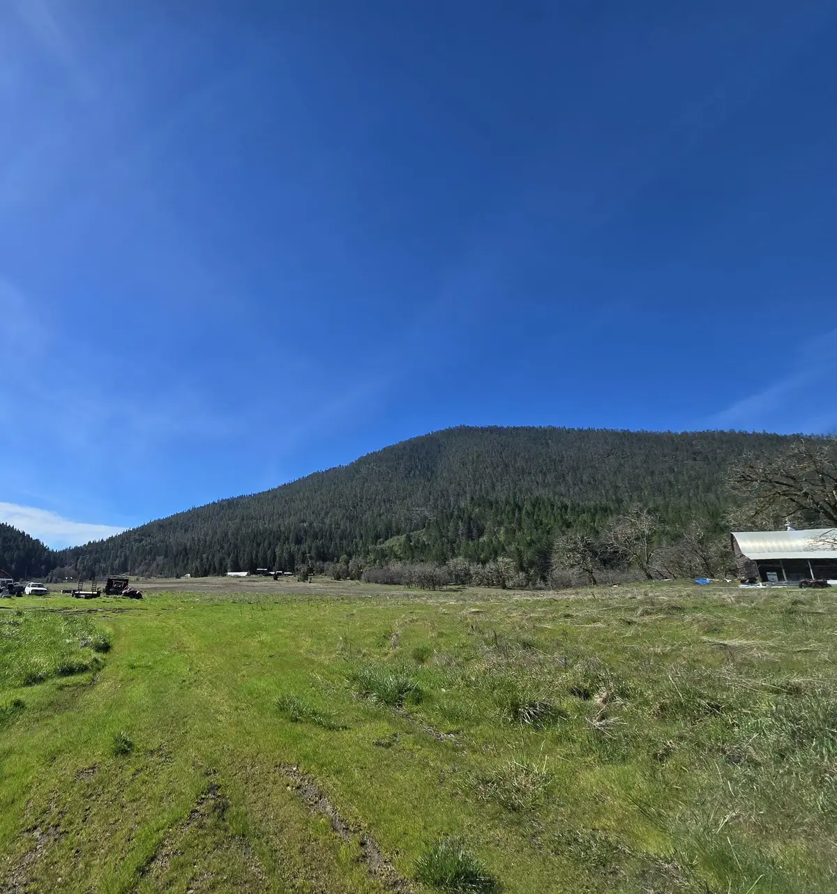 147 Warren Road #1, Selma, OR 97538 - #1