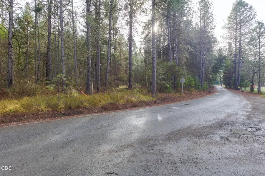 Old Stage, Wolf Creek, OR 97497 - #2