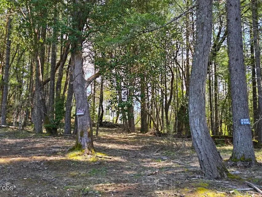 6715 W Side Road, Cave Junction, OR 97523 - #1