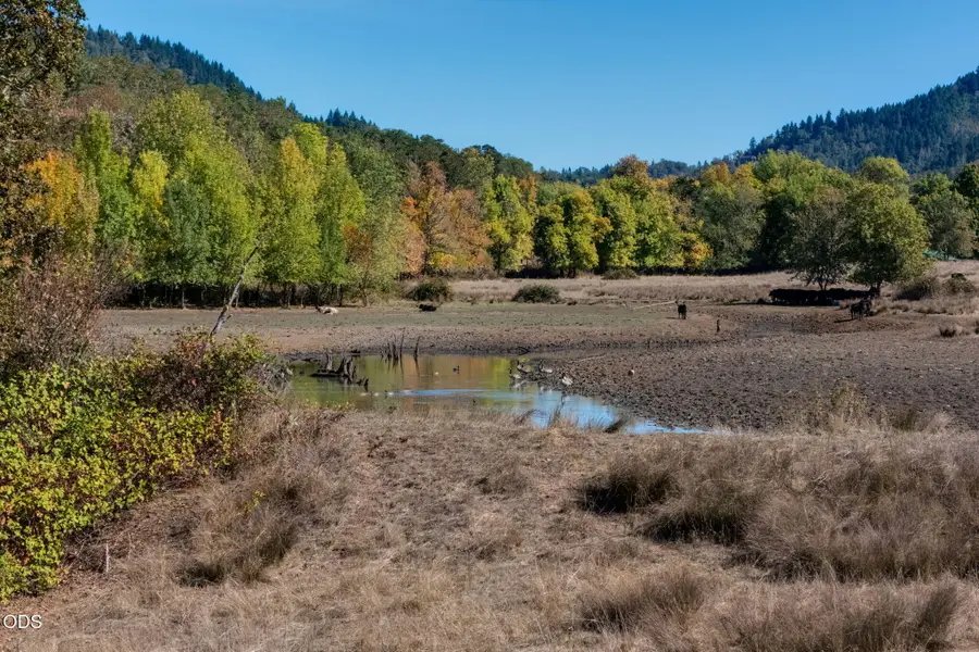 5961 Lookingglass Road, Roseburg, OR 97471 - #3
