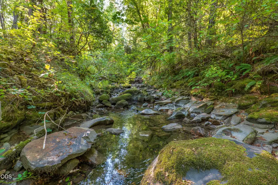 Waldo Road, Cave Junction, OR 97523 - #2
