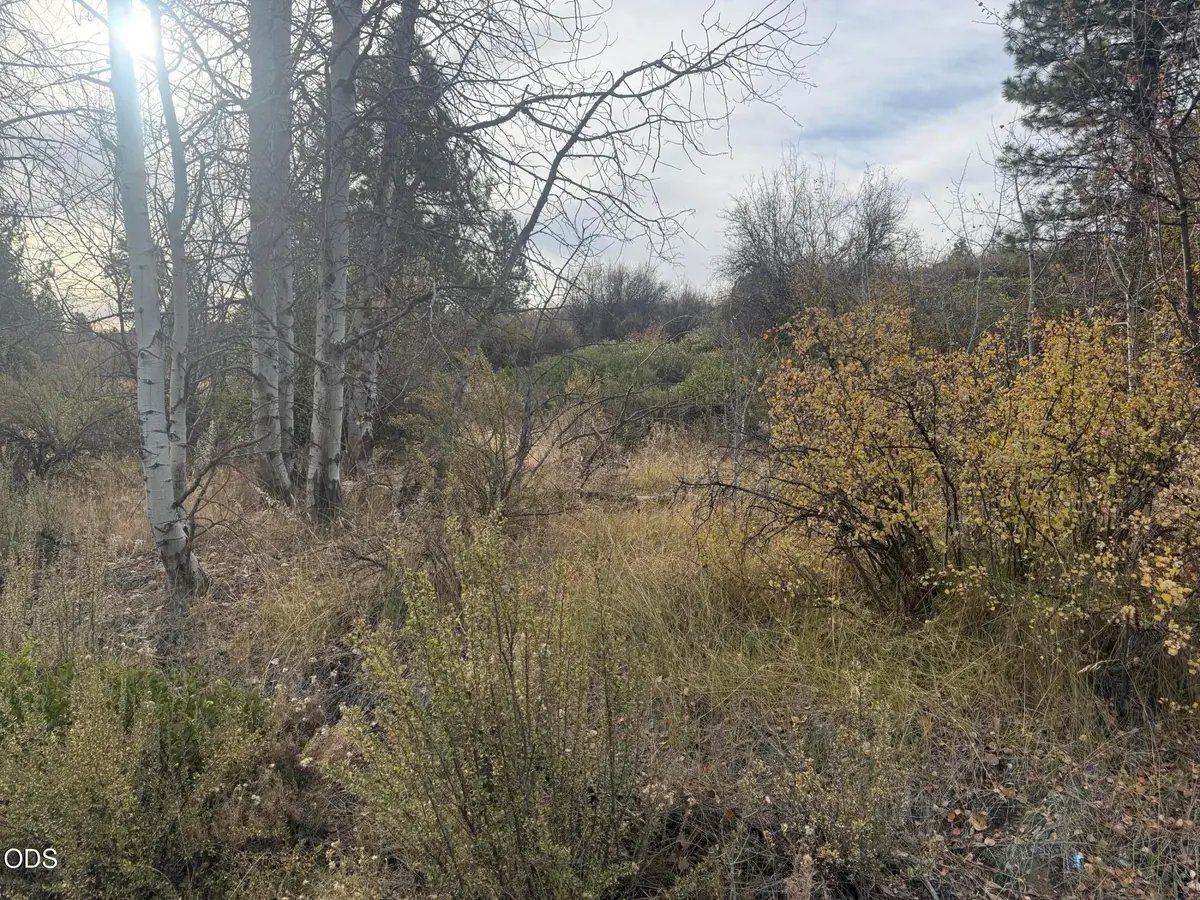 000 Forest View Drive, Chiloquin, OR 97624 - #1
