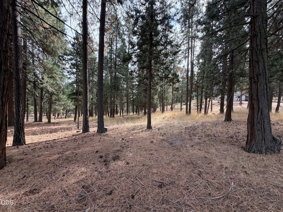 17614 Hamaker Lane, Klamath Falls, OR 97601 - #1
