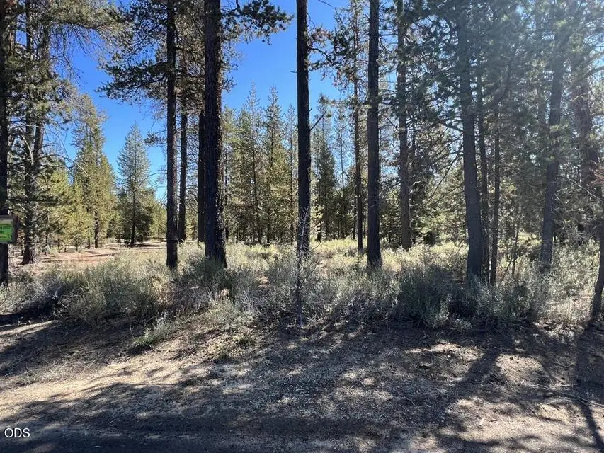 1 Gracies Road, Gilchrist, OR 97737 - #3