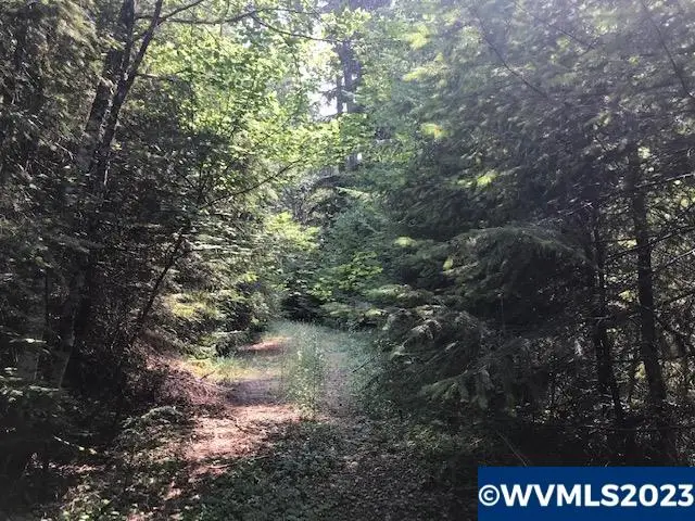 0  Nfd 305 Rd, Sweet Home, OR 97386 - Image #1