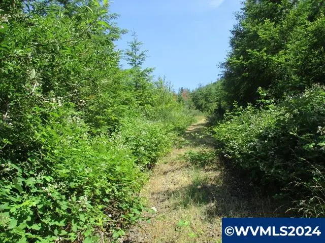 000  Thomas Creek Dr, Scio, OR 97374 - Image #1