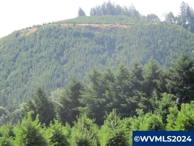 000  Thomas Creek Dr, Scio, OR 97374 - Image #2