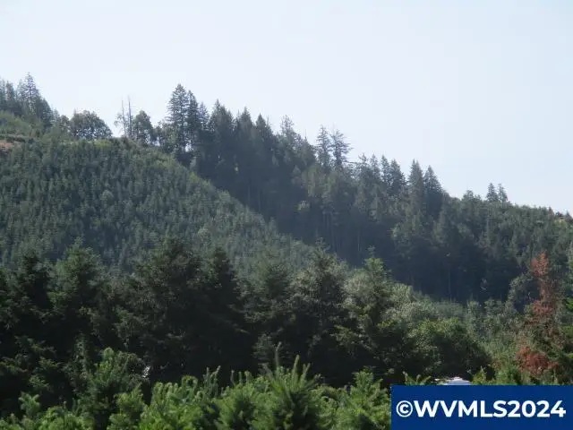 000  Thomas Creek Dr, Scio, OR 97374 - Image #3