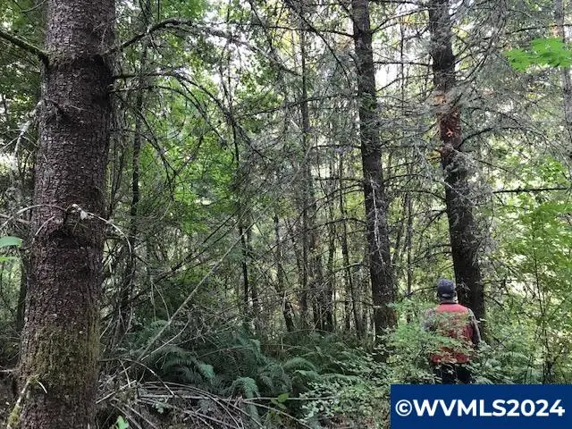000  Crooked Finger Rd, Scotts Mills, OR 97375 - Image #2