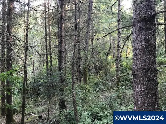 000  Crooked Finger Rd, Scotts Mills, OR 97375 - Image #3