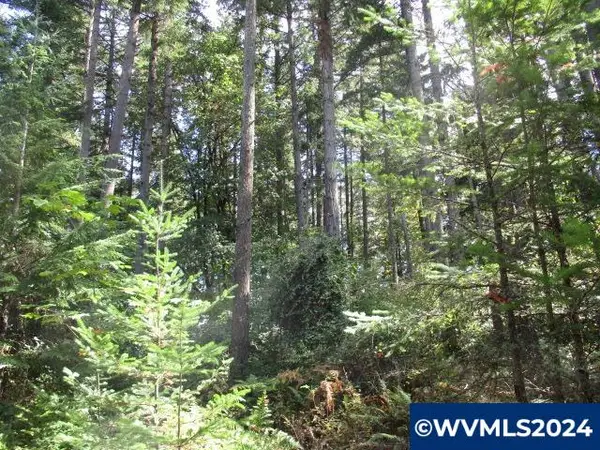 000  Bellinger Scale (3) Rd, Lebanon, OR 97355