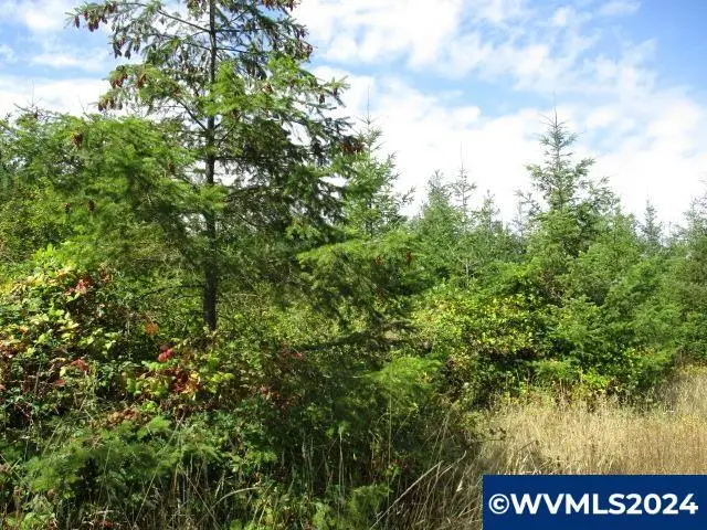 000  Bellinger Scale (3) Rd, Lebanon, OR 97355 - Image #2