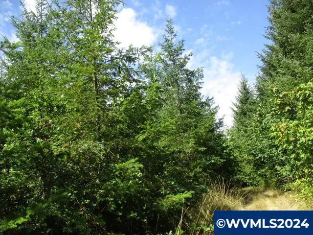 000  Bellinger Scale (3) Rd, Lebanon, OR 97355 - Image #3