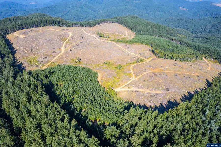 0  Bald Mountain Rd, Beaver, OR 97108 - Image #3