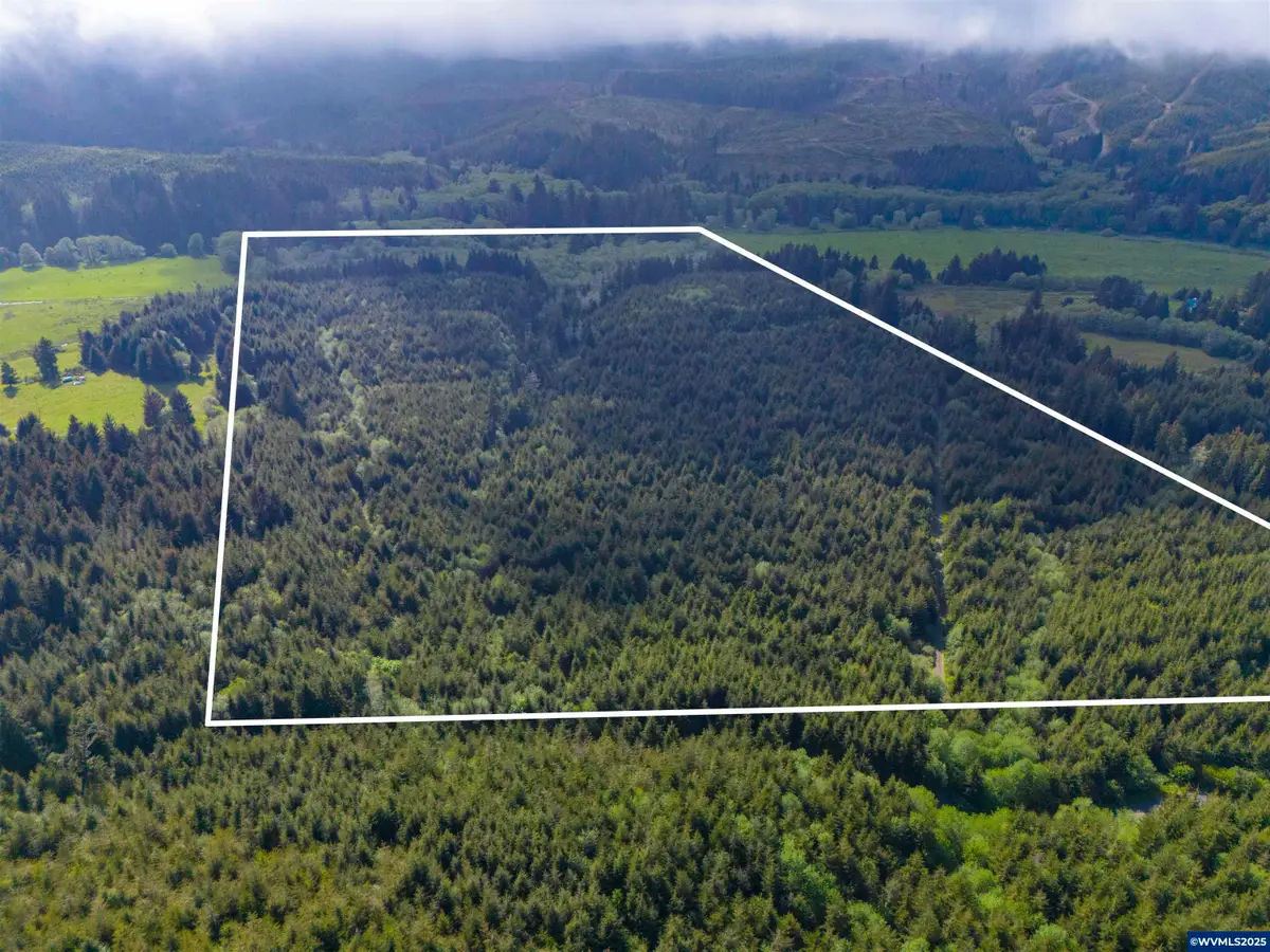 0  Elmer Miller Rd, Siletz, OR 97380 - Image #1