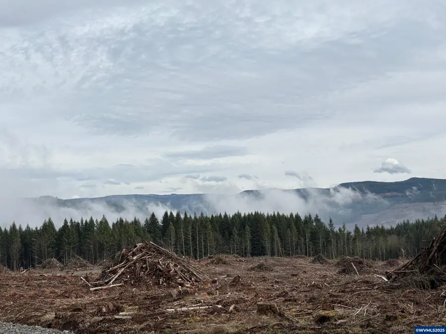 00 S Hardy Rd, Molalla, OR 97038 - Image #3
