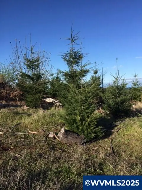 Oakdale Rd, Dallas, OR 97338 - Image #3