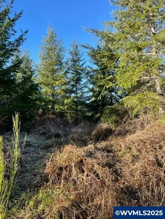 00  Buck Hollow (18) Rd, Sheridan, OR 97378 - Image #2