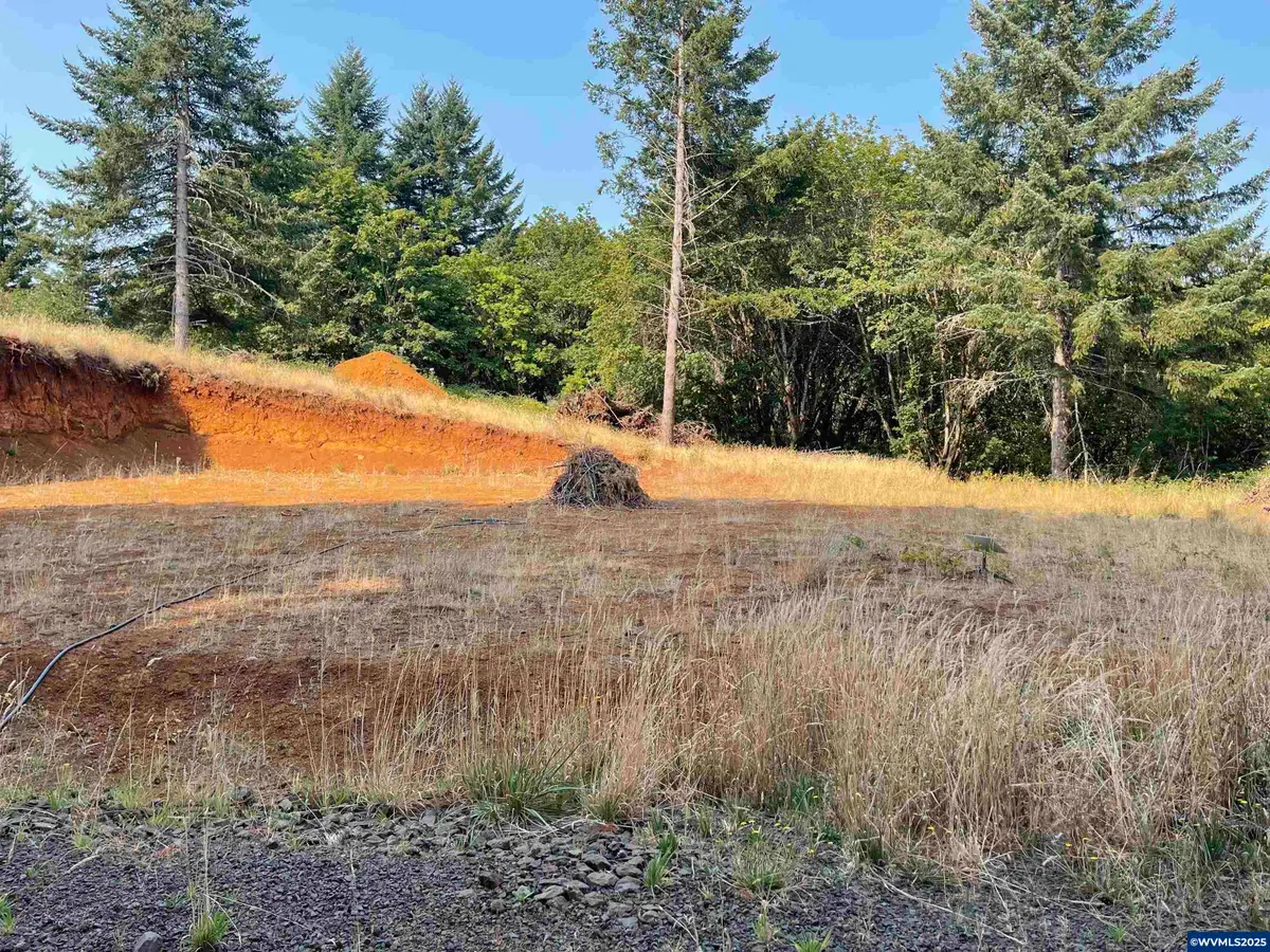 25560 SW Valley View Ln, Sheridan, OR 97378 - Image #1