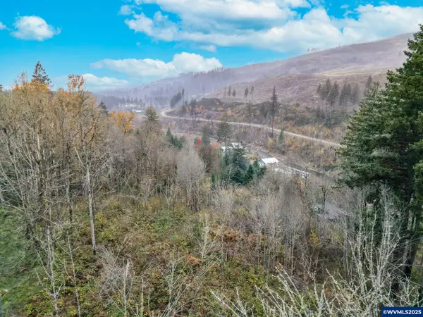 11065  Winstanley Dr SE, Lyons, OR 97358