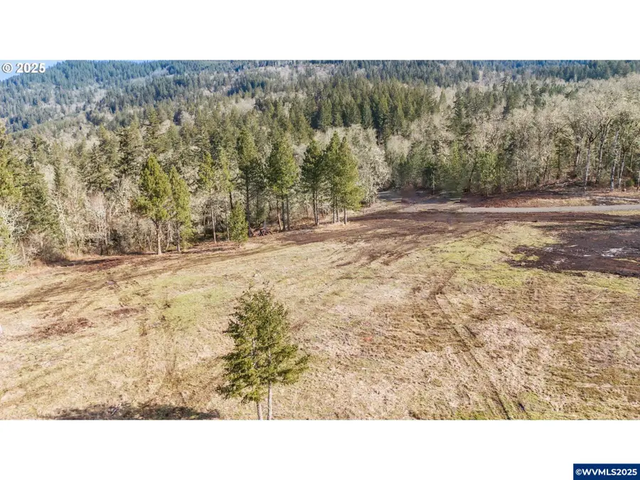 Lot  1 Dr, Harrisburg, OR 97446 - Image #2