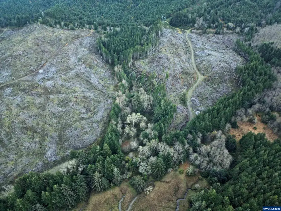 0  Wright Creek Rd, Seal Rock, OR 97366 - Image #3