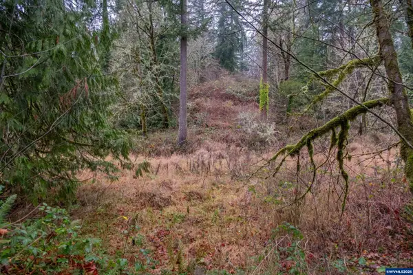 38353 SW Laurelwood Rd, Gaston, OR 97119