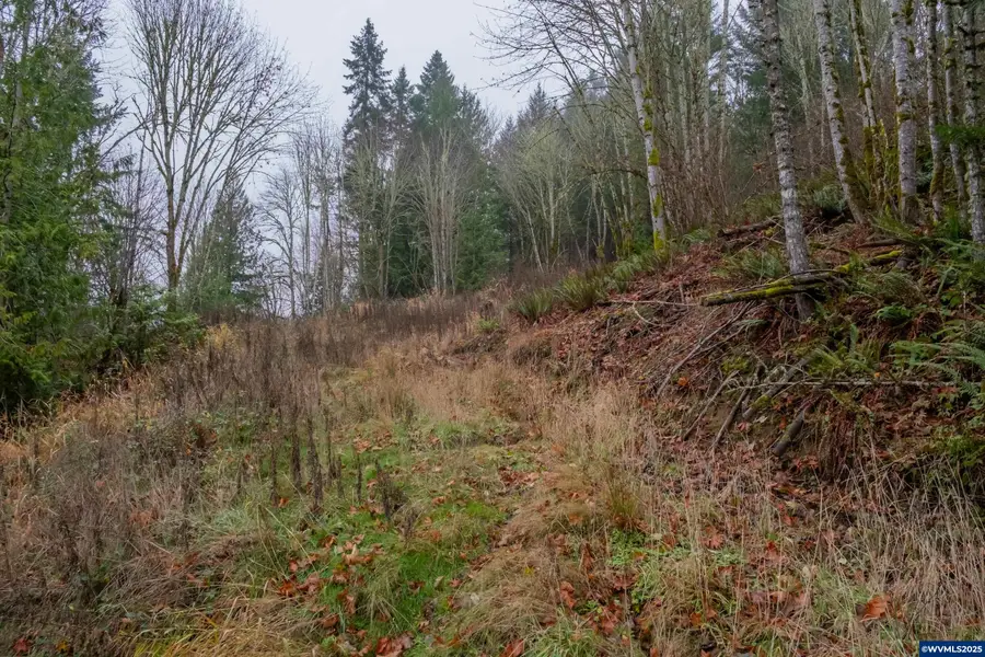 38353 SW Laurelwood Rd, Gaston, OR 97119 - Image #3