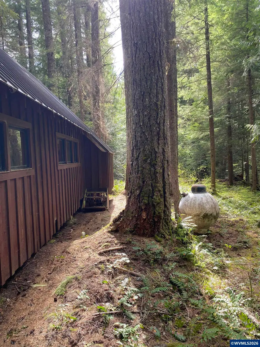 18  Marion Creek Rd, Idanha, OR 97350 - Image #3