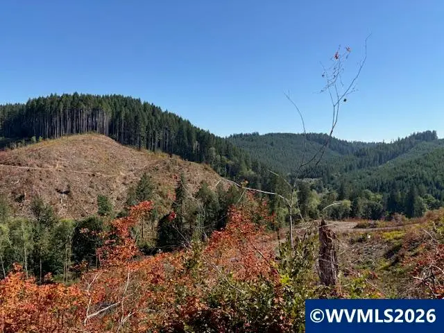 00  Van Horn Rd, Alsea, OR 97324 - Image #2