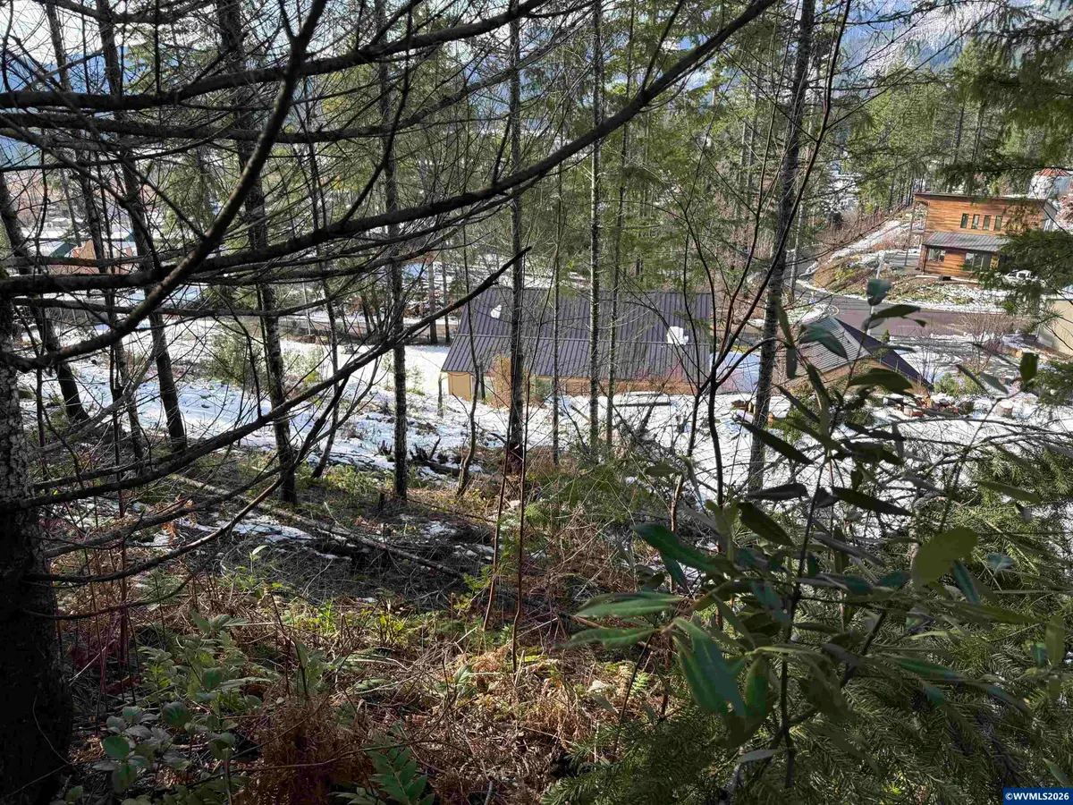 145  Scott Av S, Detroit, OR 97342 - #1