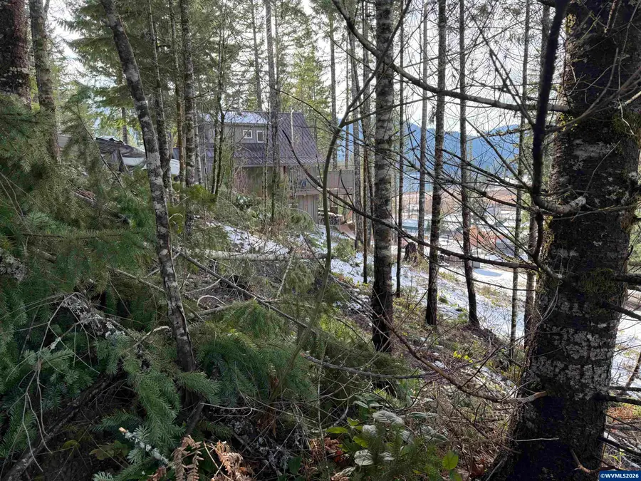 145  Scott Av S, Detroit, OR 97342 - #2