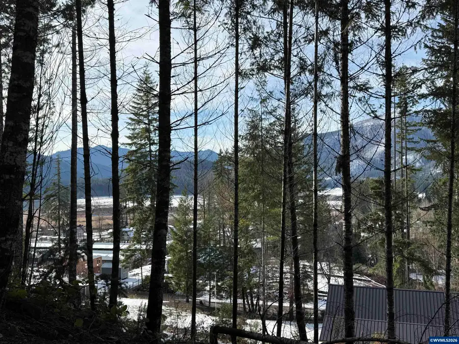 145  Scott Av S, Detroit, OR 97342 - #3