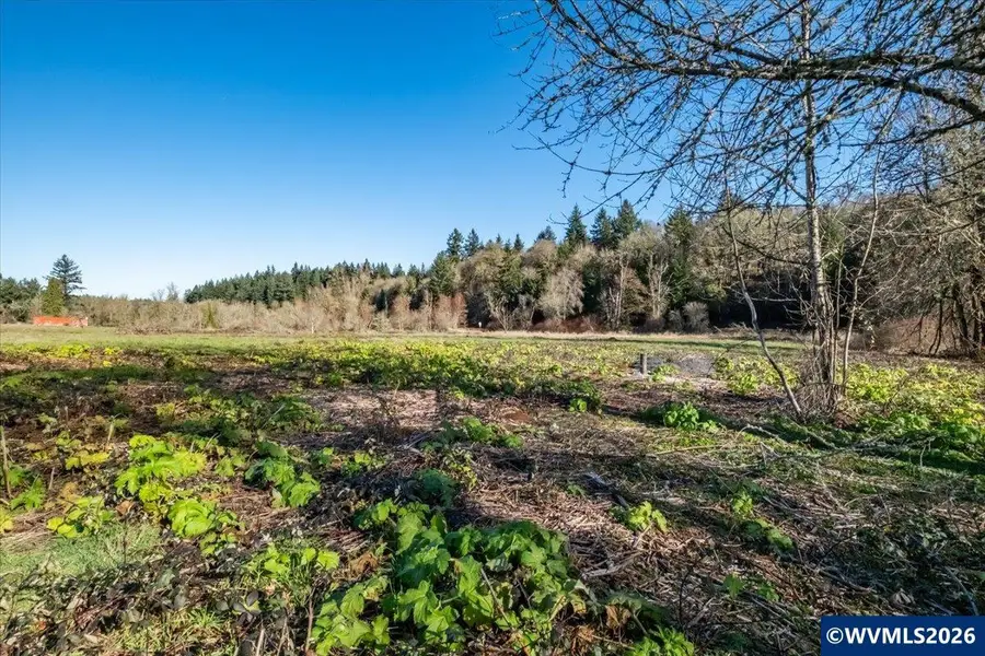 Lot #1  Ballyntyne Rd, Salem, OR 97302 - #3