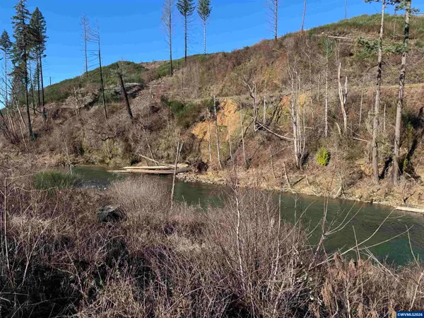 25497  Taylor Park Rd SE, Lyons, OR 97358