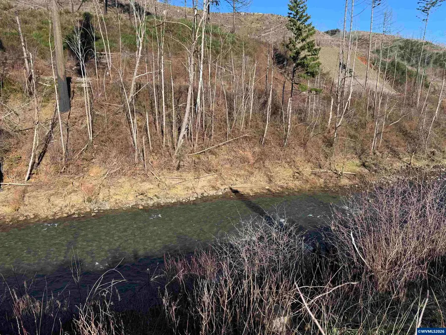 25497  Taylor Park Rd SE, Lyons, OR 97358 - Image #3