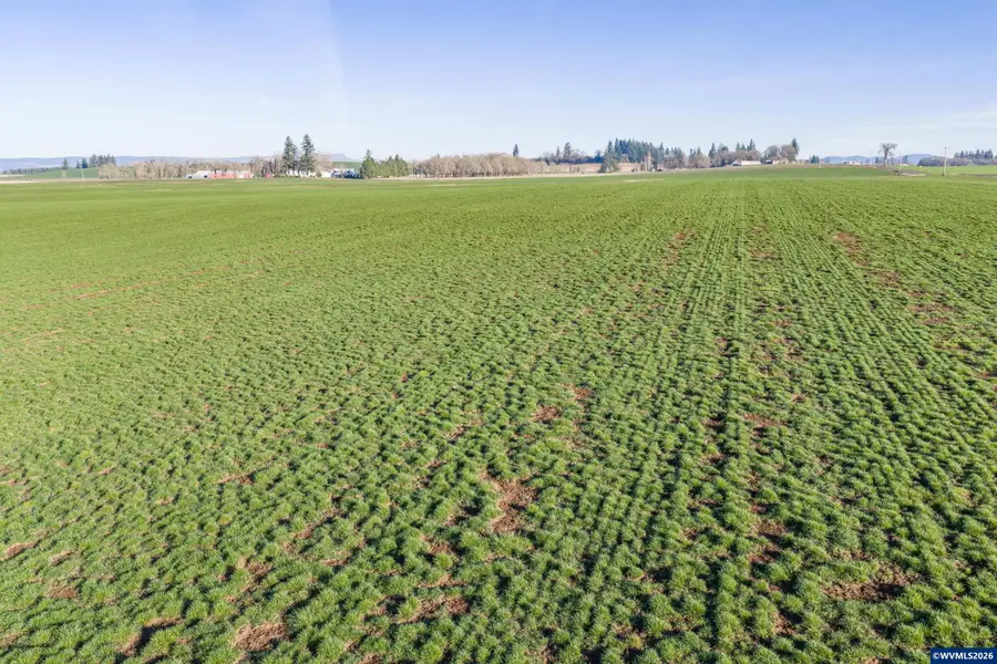 39986  Gisler Rd, Scio, OR 97374 - #3