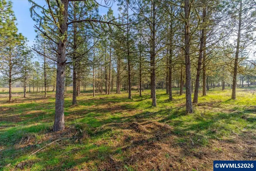 0060356 TAX Lot  Old Bellinger Scale Rd, Lebanon, OR 97355 - Image #3