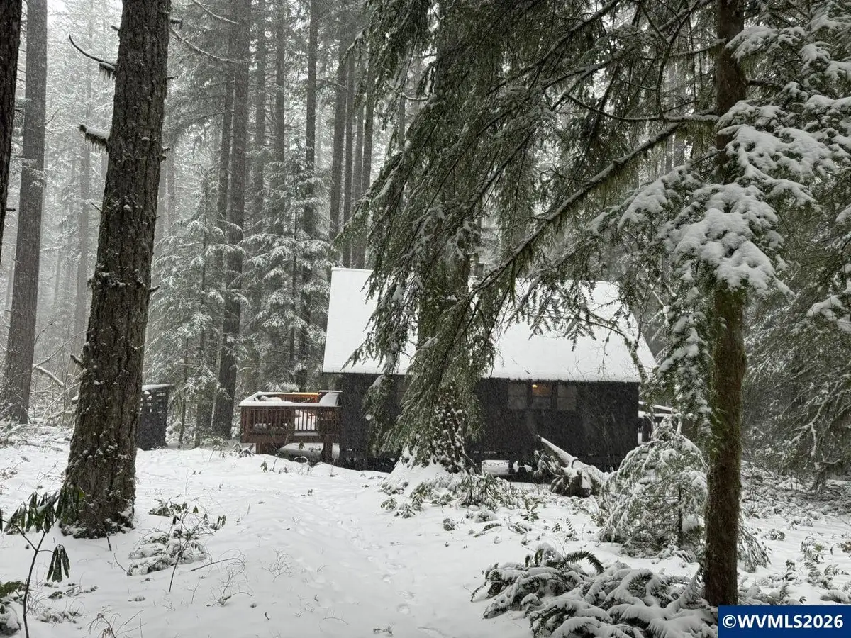 Stahlman 38B  USFS 049 Rd, Detroit, OR 97342 - #1