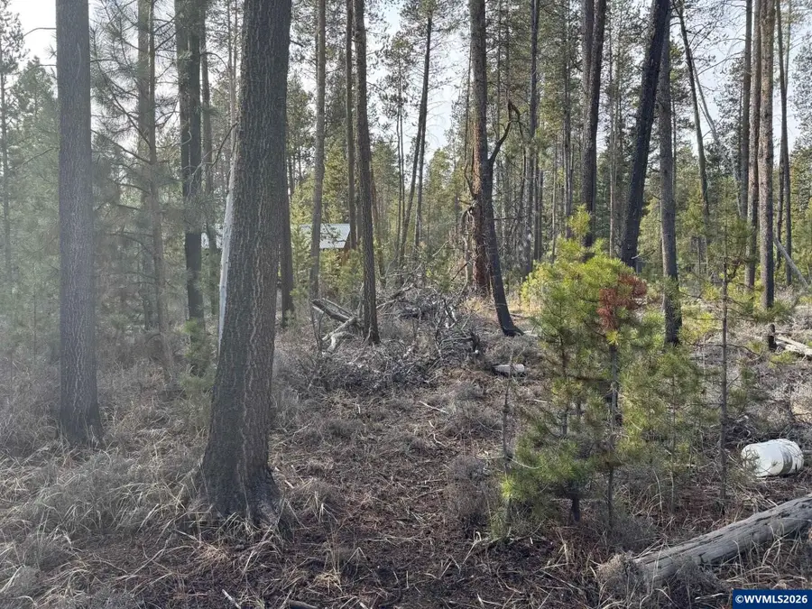 Lot 16  Willow St, La Pine, OR 97739 - #3