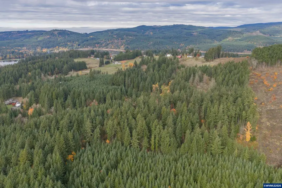 TL 103  Whiskey Butte Dr, Sweet Home, OR 97386 - #3