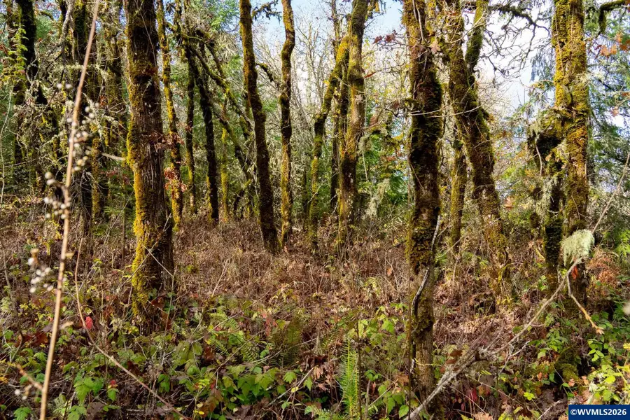 0  Mistletoe Rd, Dallas, OR 97338 - #3