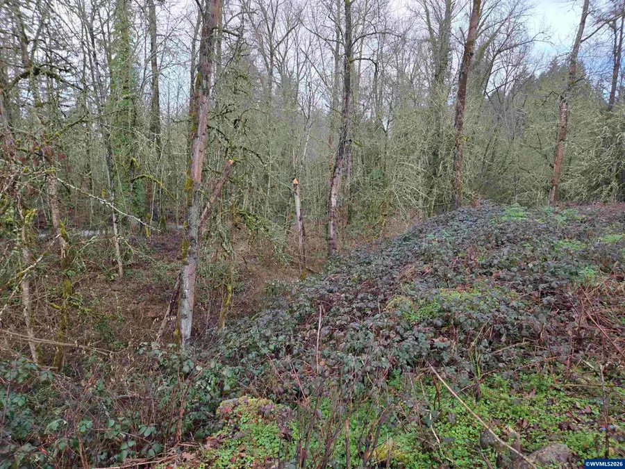 33058  Brewster Rd, Lebanon, OR 97355 - #3