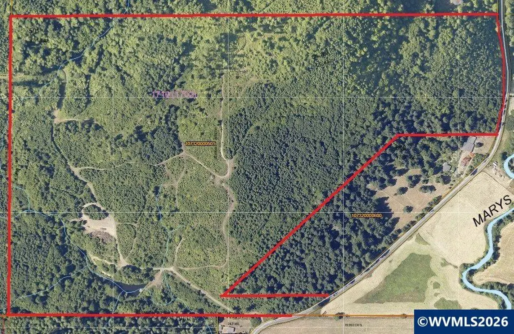 Marys River Rd, Blodgett, OR 97326 - #1