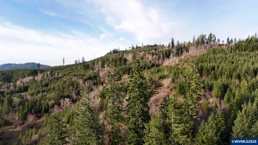 Marys River Rd, Blodgett, OR 97326 - #3