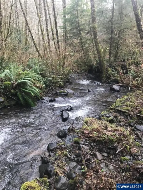 Lot 200  Alsea Hwy, Alsea, OR 97324
