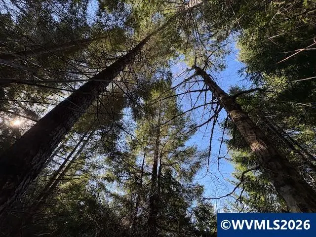 Lot 200  Alsea Hwy, Alsea, OR 97324 - #2