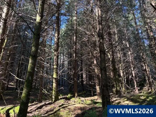 Lot 200  Alsea Hwy, Alsea, OR 97324 - #3