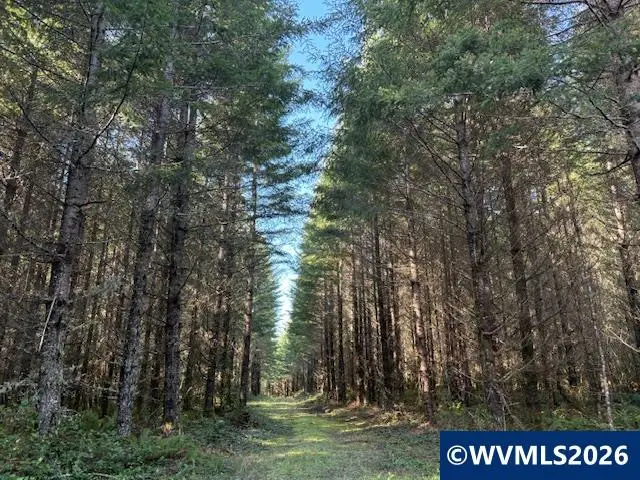 Lot 300 SE Wildcat Mountain Dr, Sandy, OR 97055 - #1